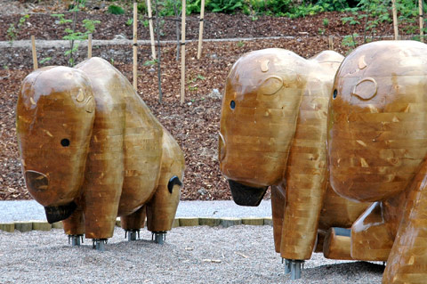 dsc_0229_ymmersta-lp