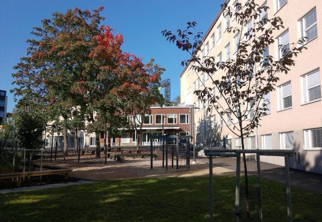 ashojden_imag0851-kopio3_1020x800